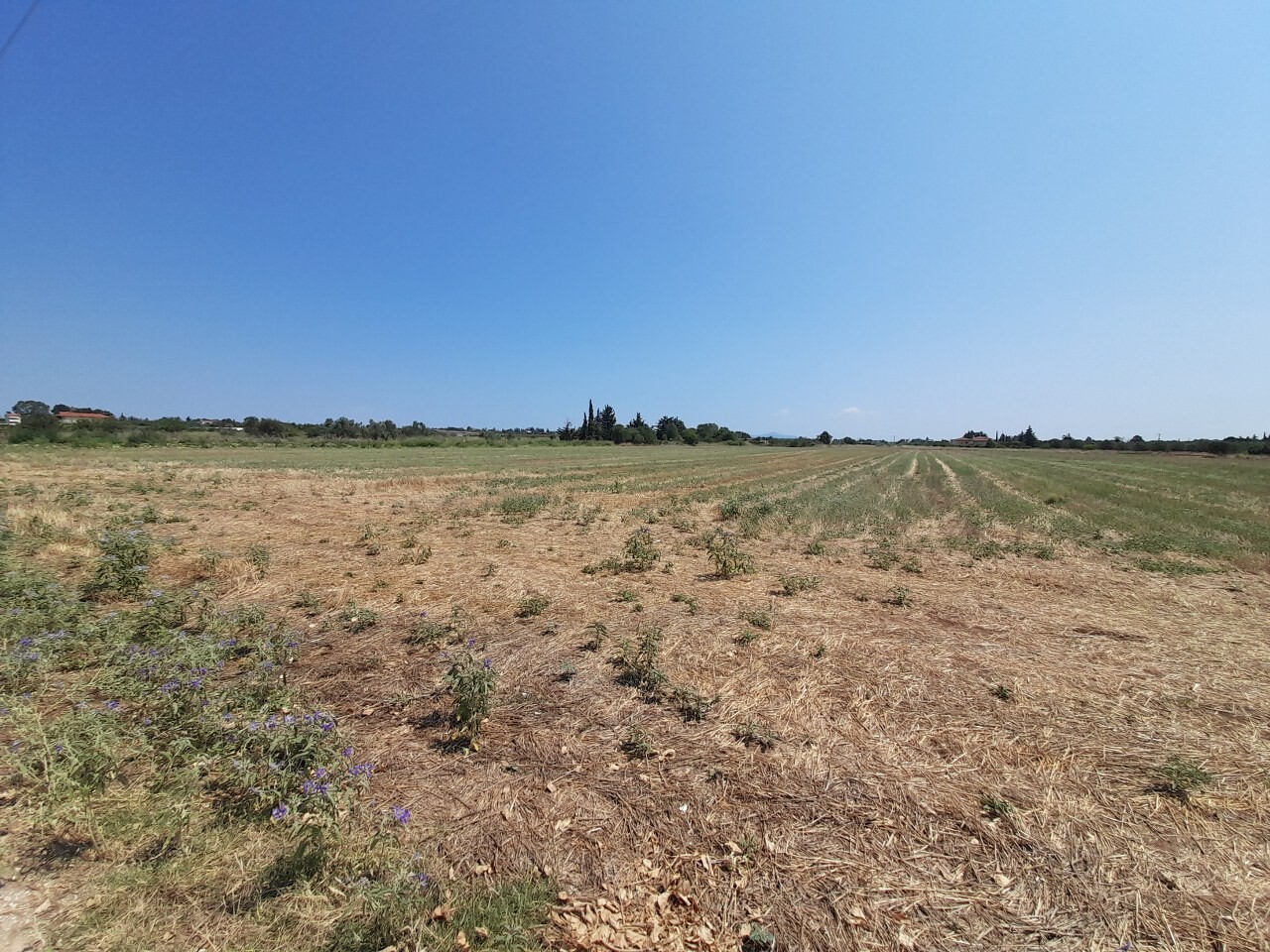 Land in Thessaloniki, Greece, 11 100 m² - picture 3