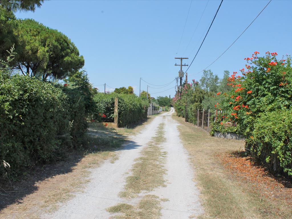 Land in Olympiaki Akti, Greece, 5 000 m² - picture 3