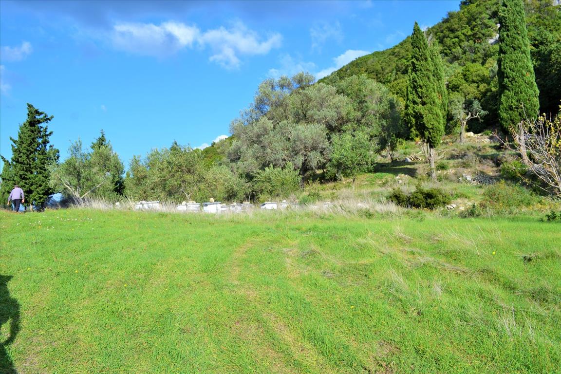 Terrain à Corfou, Grèce, 15 000 m² - image 3