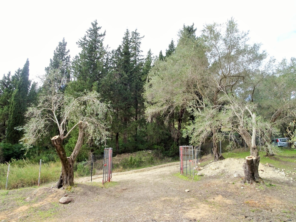 Maison à Corfou, Grèce, 240 m² - image 3