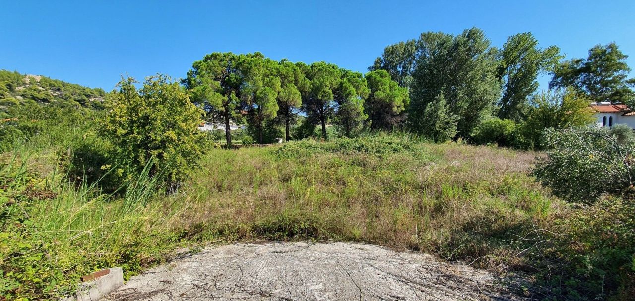 Land in Sithonia, Greece, 2 000 m² - picture 3