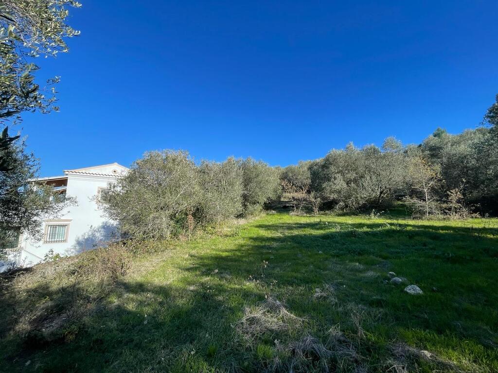 Terrain à Corfou, Grèce, 14 529 m² - image 3