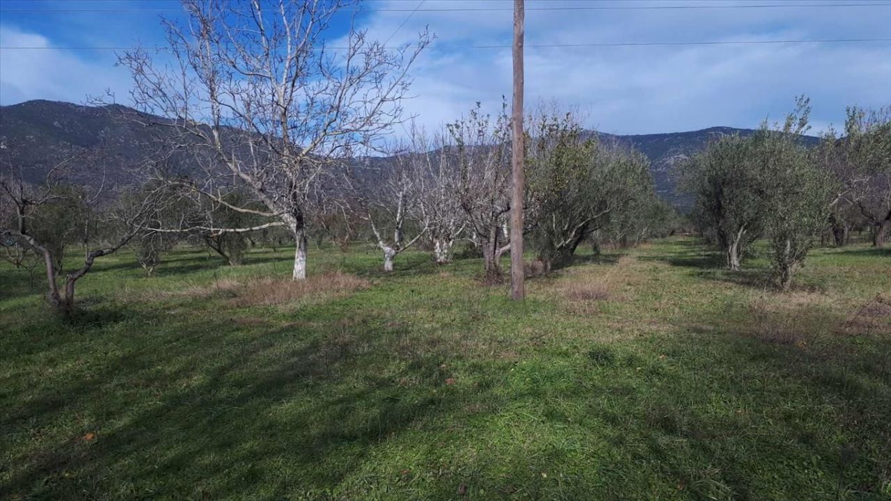 Terreno en Salónica, Grecia, 18 250 m² - imagen 3