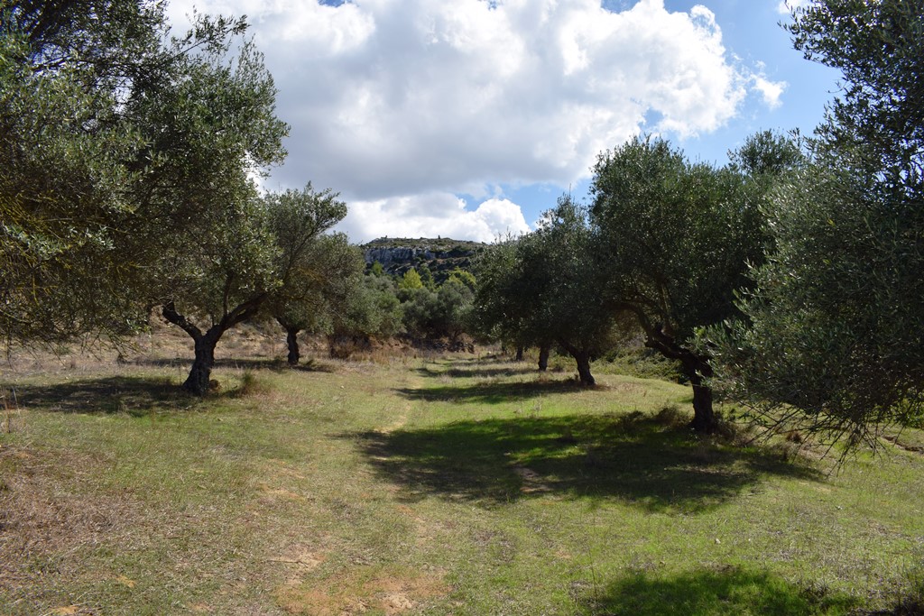 Terrain à Héraklion, Grèce, 9 848 m² - image 3