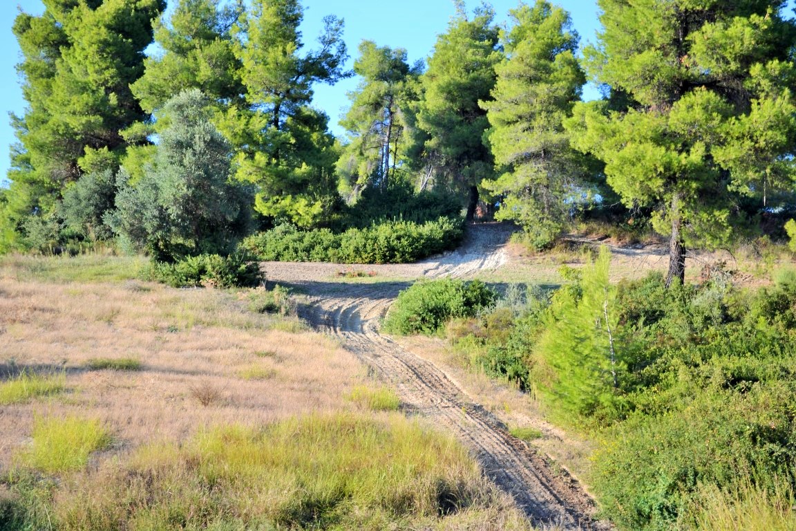 Terreno en Kassandra, Grecia, 5 230 m² - imagen 3