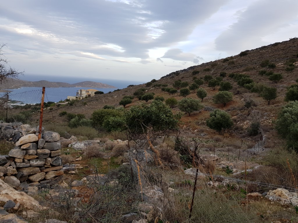 Land in Heraklion, Greece, 8 700 m² - picture 3