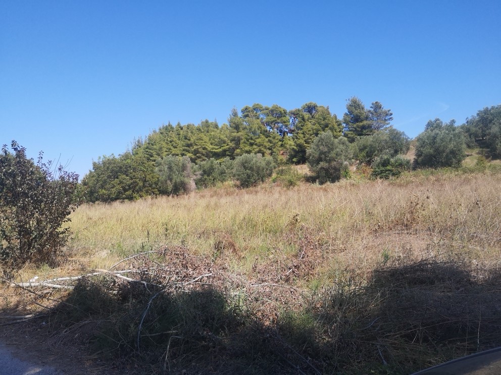 Terreno en Kassandra, Grecia, 3 700 m² - imagen 3