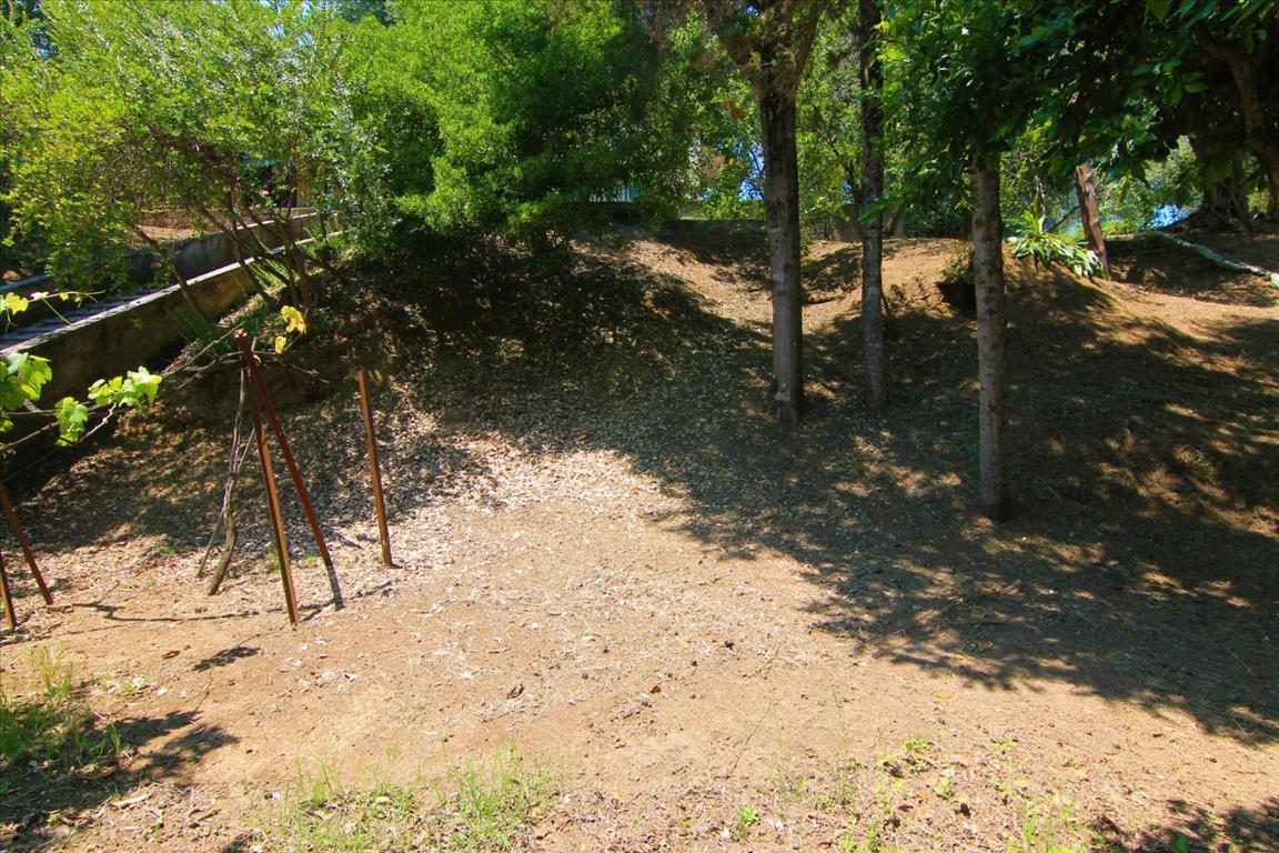 Land in Corfu, Greece, 1 350 m² - picture 3