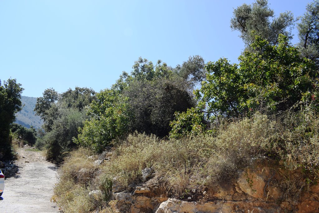 Terrain à Héraklion, Grèce, 11 000 m² - image 3