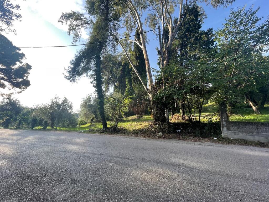 Land in Corfu, Greece, 3 321 m² - picture 3