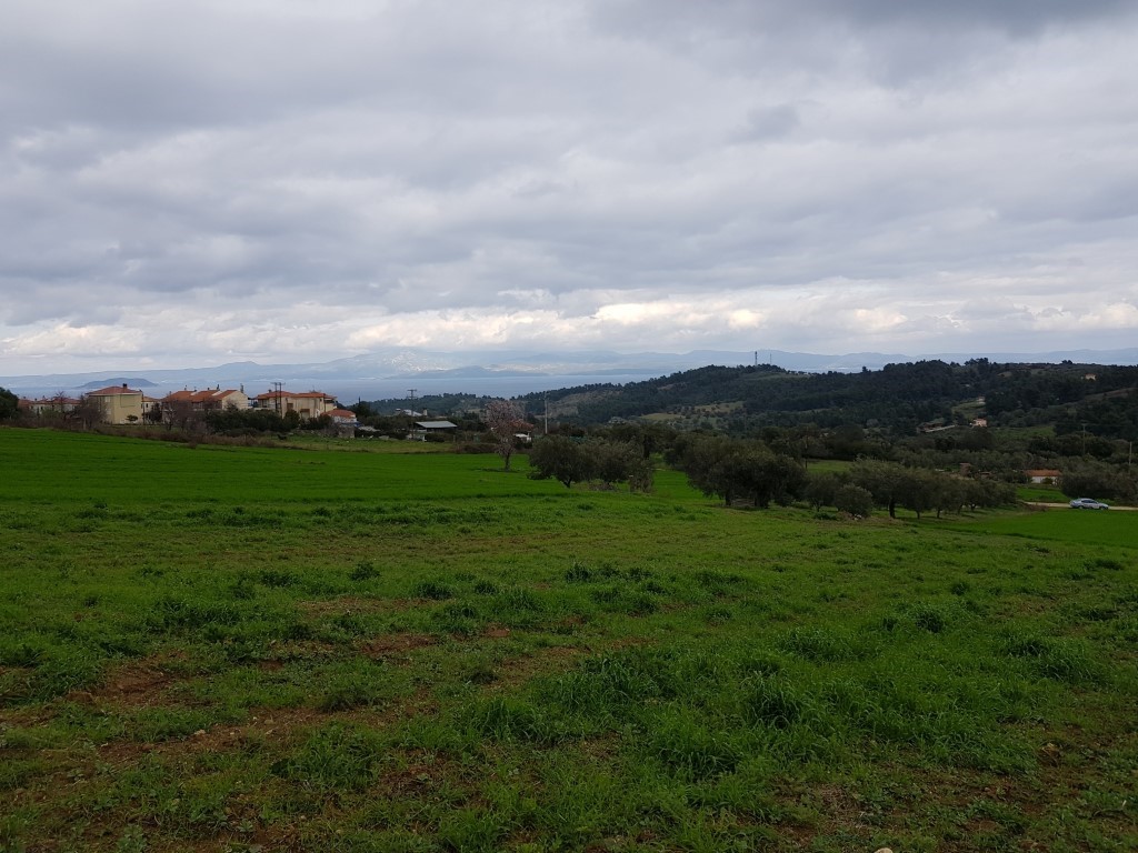 Terreno en Kassandra, Grecia, 5 000 m² - imagen 3