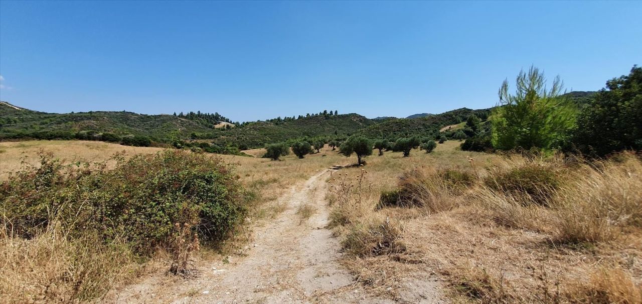 Land in Kassandra, Greece, 30 000 m² - picture 3
