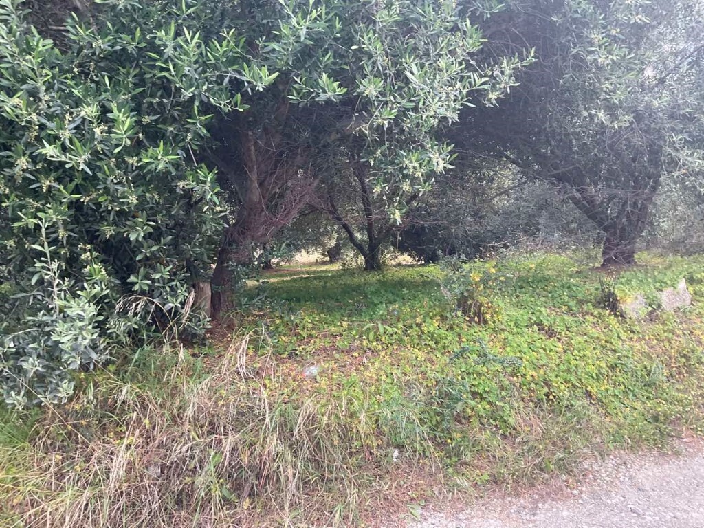 Terreno en Heraclión, Grecia, 3 750 m² - imagen 3