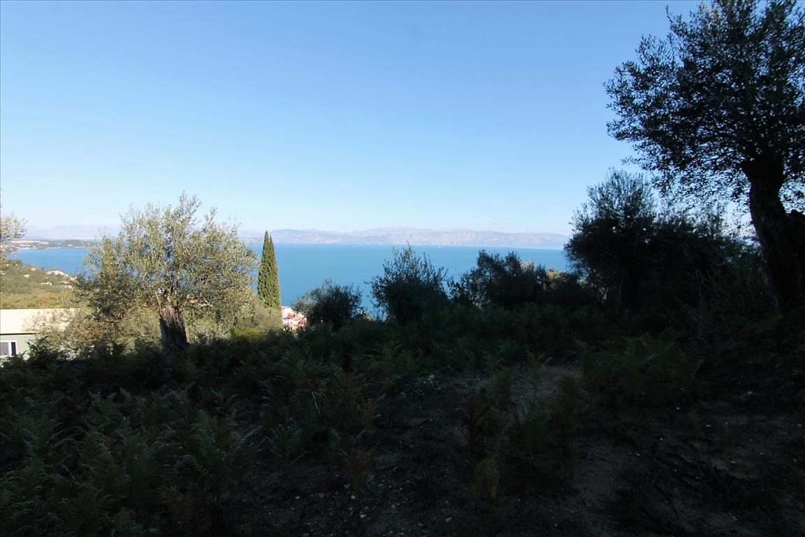 Land in Corfu, Greece, 9 000 m² - picture 3