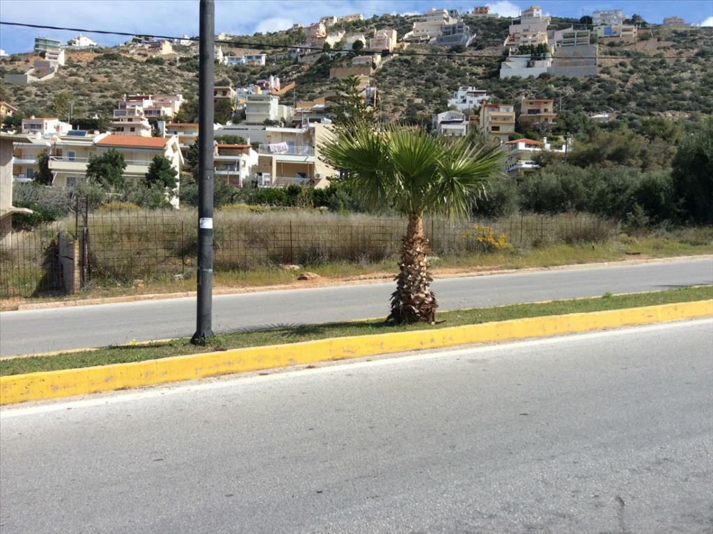 Terreno in Attica, Grecia, 1 300 m2 - foto 3