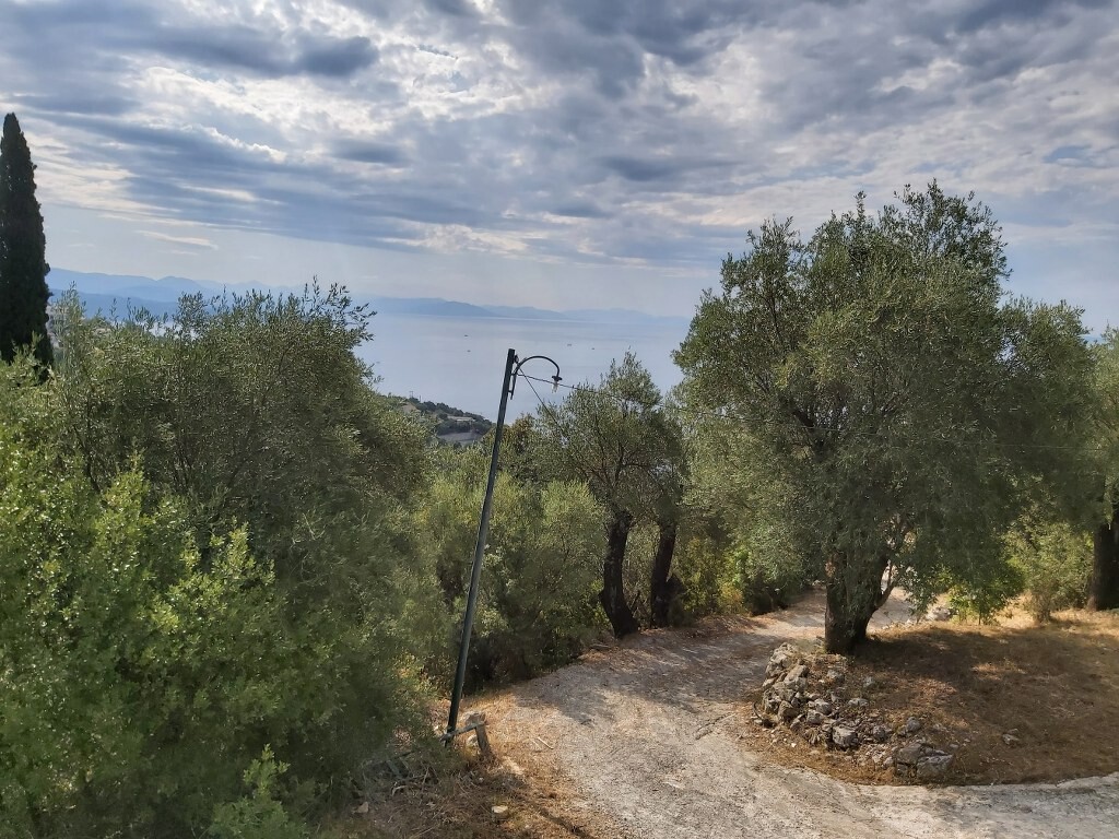 Land in Corfu, Greece, 18 000 m² - picture 3