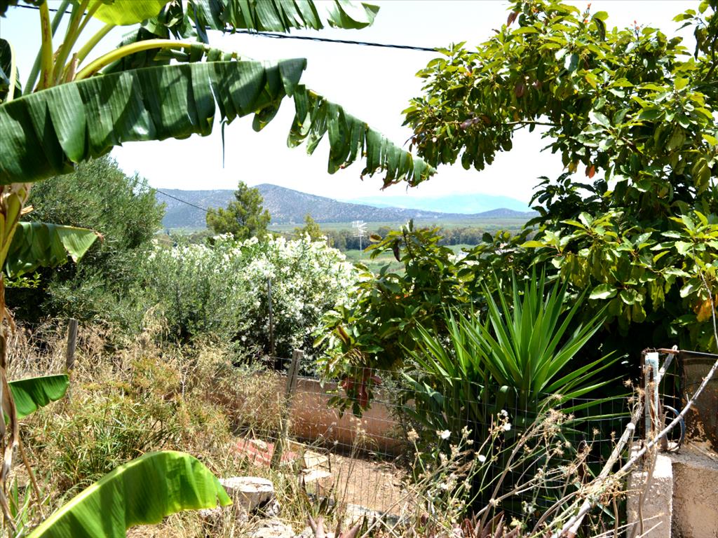 Casa en Ática, Grecia, 93 m² - imagen 3