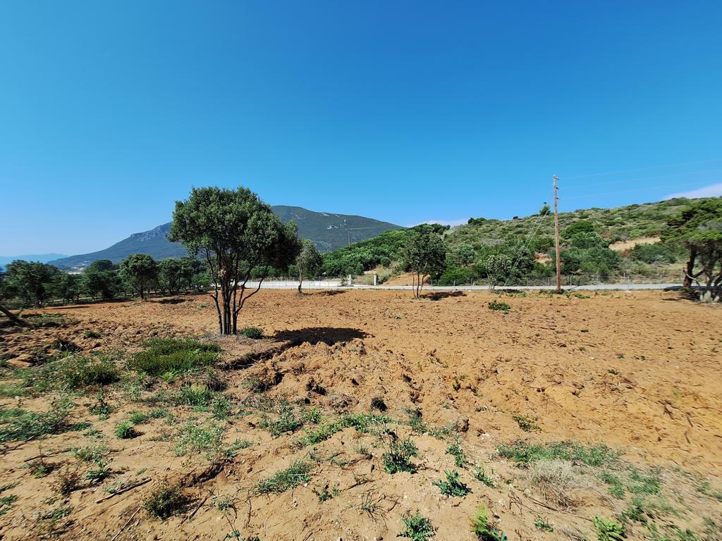 Terreno en Corfú, Grecia, 5 121 m² - imagen 3