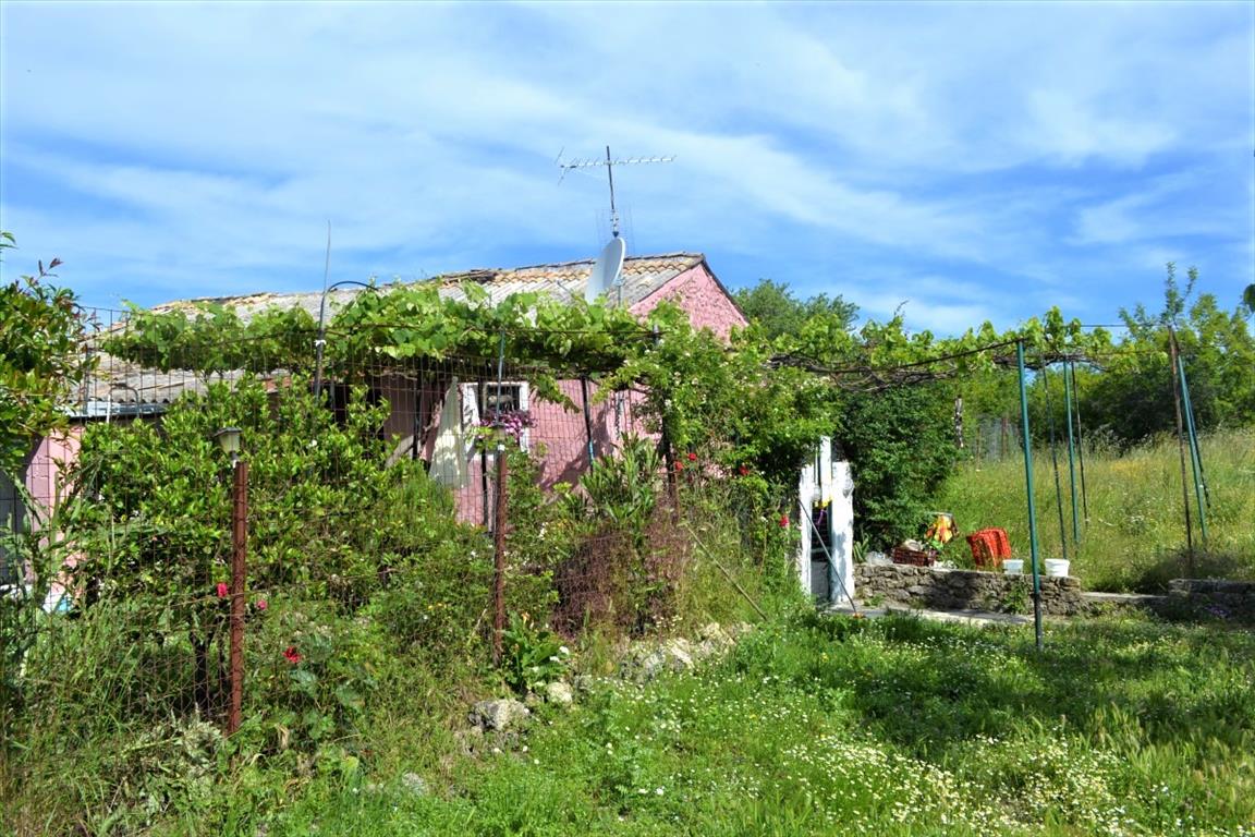 Land in Corfu, Greece, 12 044 m² - picture 3