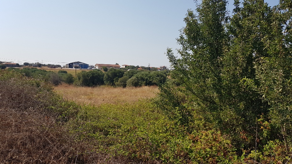 Land in Kassandra, Greece, 3 255 m² - picture 3