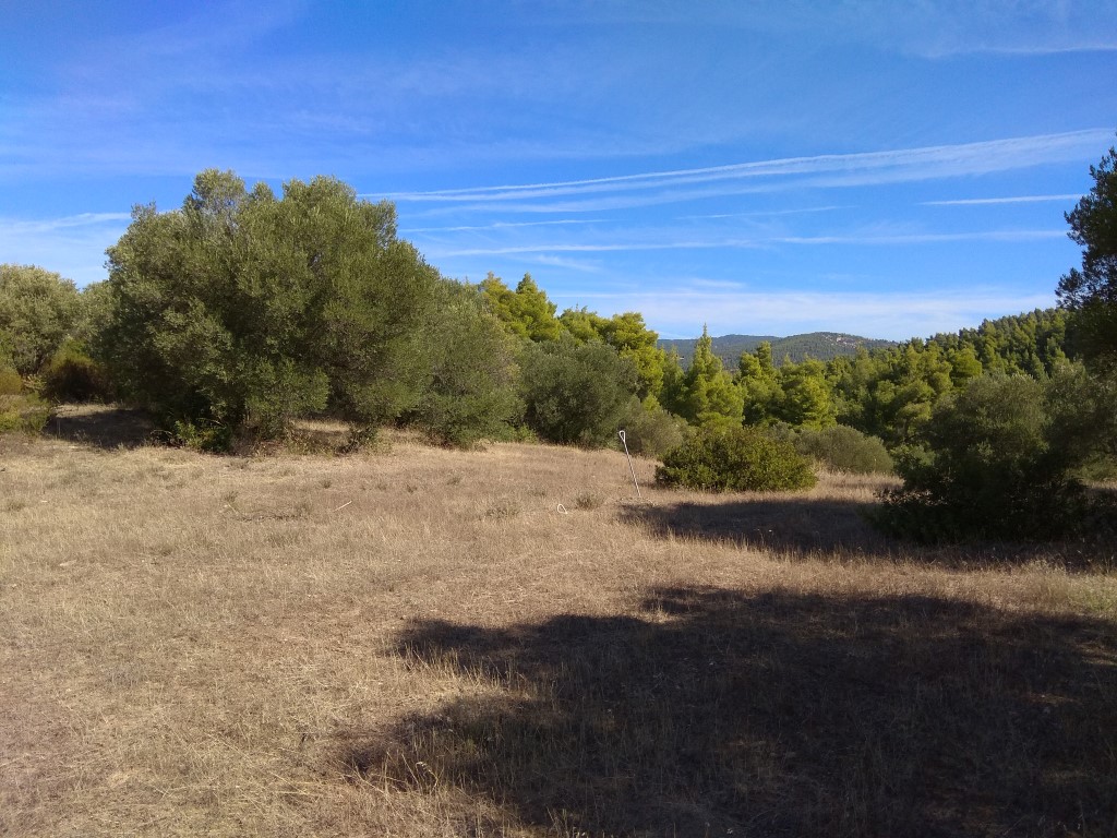 Terreno a Sithonia, Grecia, 7 250 m2 - foto 3