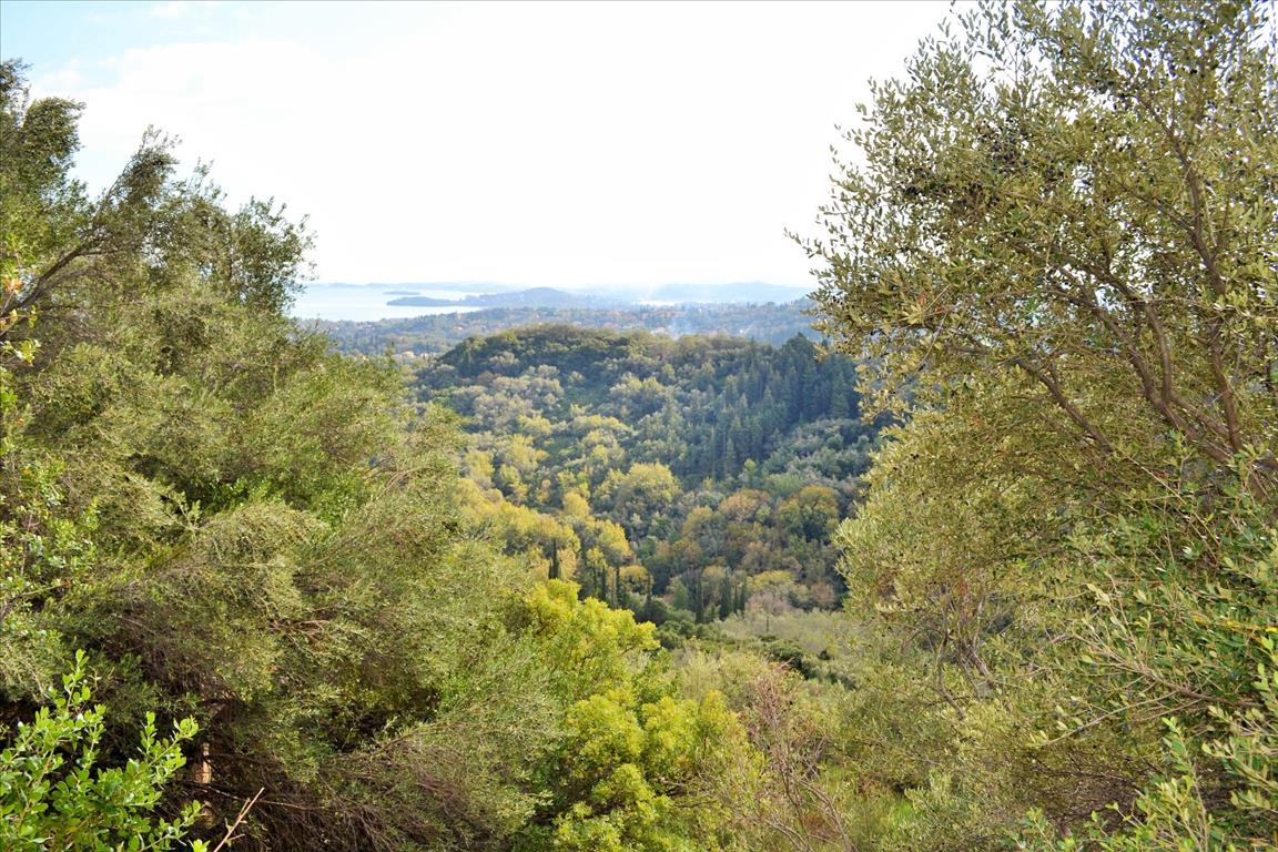 Terreno a Corfù, Grecia, 14 530 m2 - foto 3