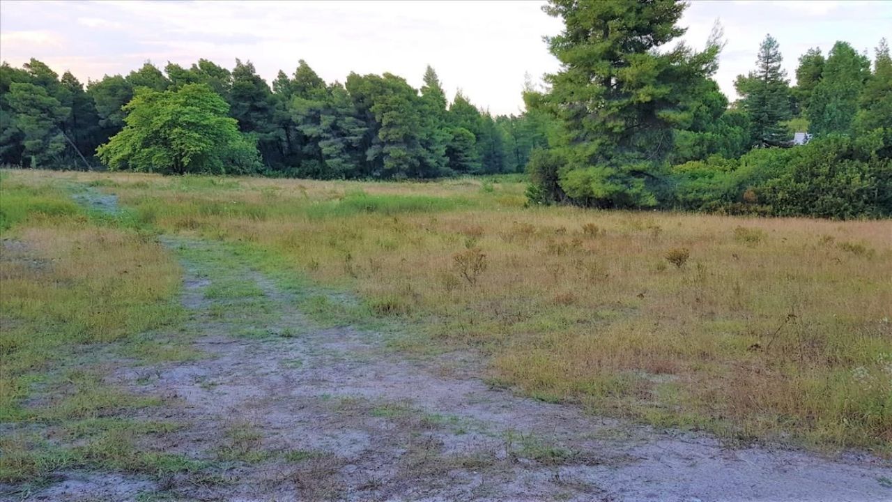 Grundstück in Sithonia, Griechenland, 19 895 m² - Foto 3