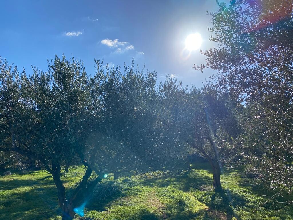 Grundstück in Heraklion, Griechenland, 20 000 m² - Foto 3