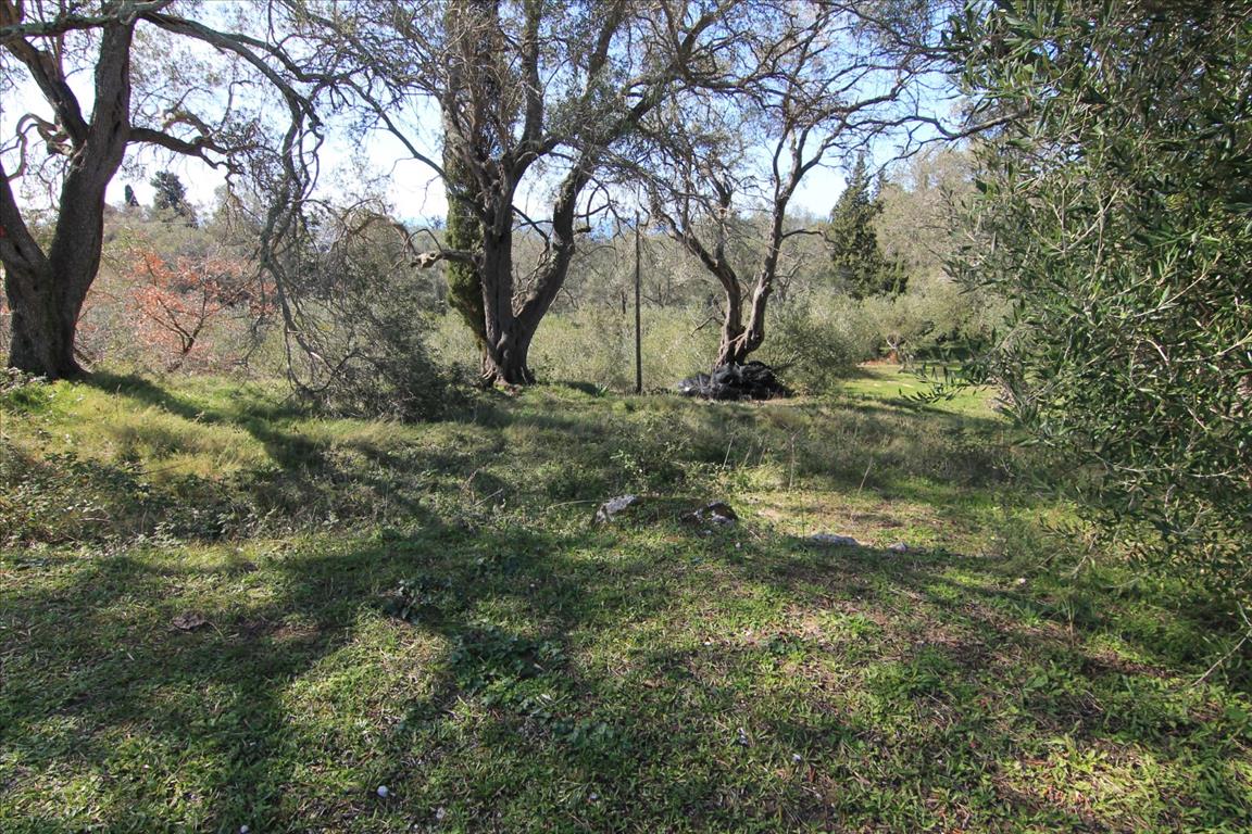 Terreno a Corfù, Grecia, 6 000 m2 - foto 3