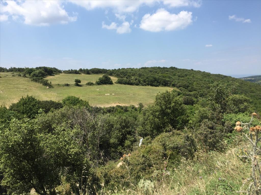 Terreno a Salonicco, Grecia, 12 100 m2 - foto 3