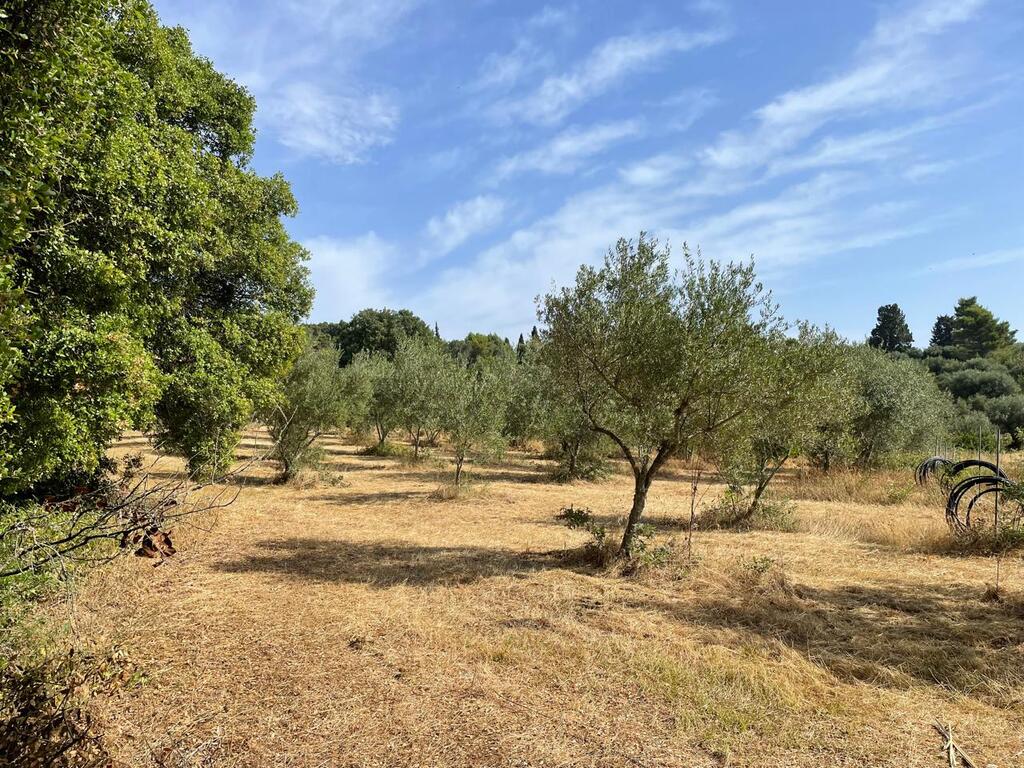 Land in Corfu, Greece, 27 750 m² - picture 3