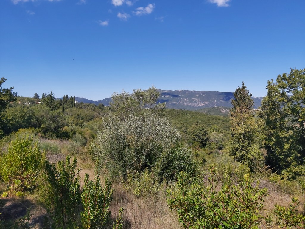 Land in Corfu, Greece, 48 000 m² - picture 3