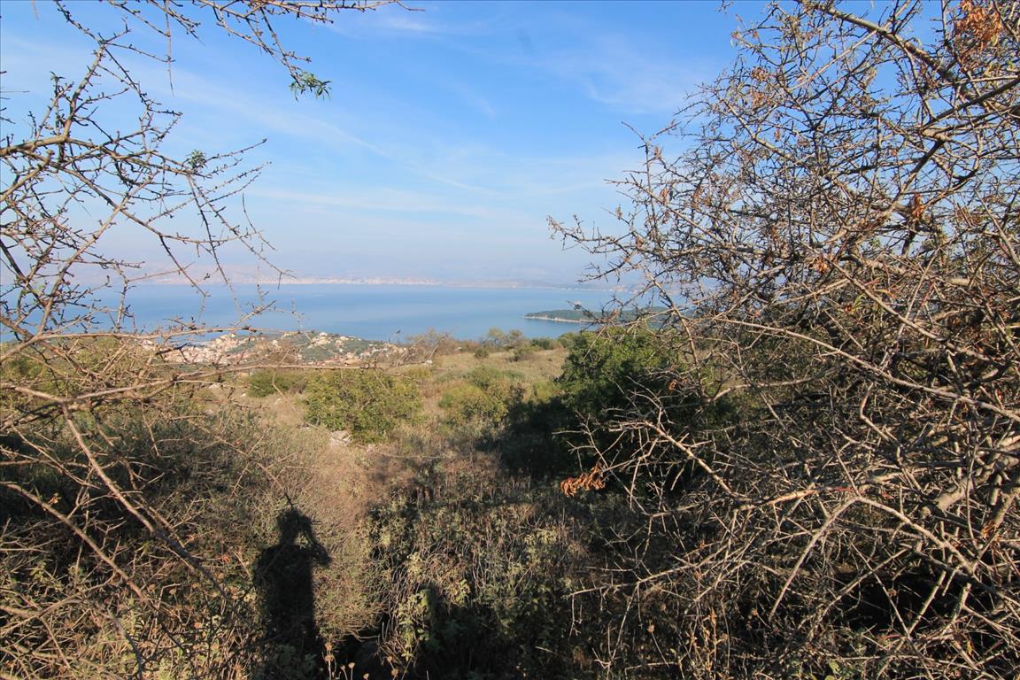 Terreno a Corfù, Grecia, 11 000 m2 - foto 3
