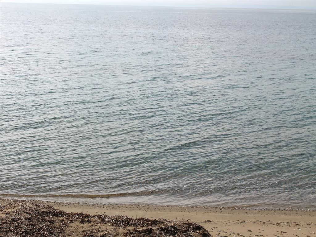 Terreno en Sitonia, Grecia, 13 244 m² - imagen 3