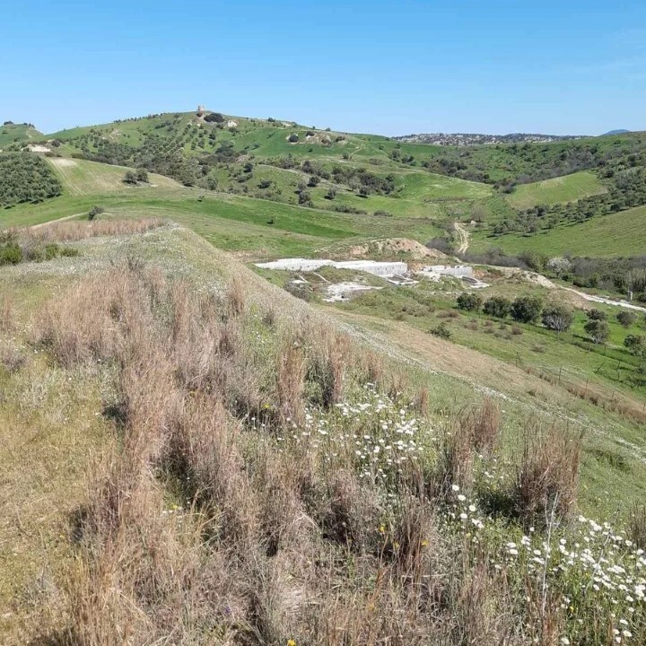 Terrain en Sithonie, Grèce, 2 233 m² - image 3