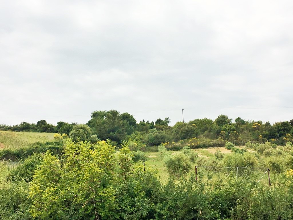 Terrain en Chalcidique, Grèce, 12 250 m² - image 3