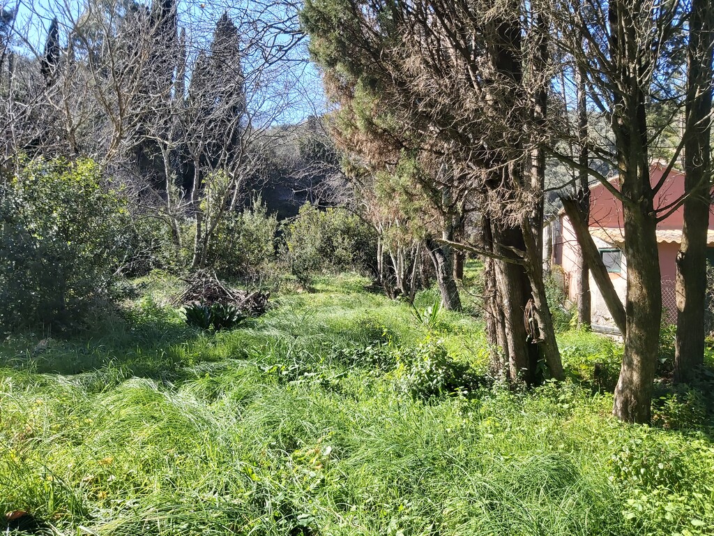 Land in Corfu, Greece, 2 770 m² - picture 3