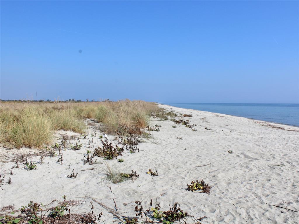 Land in Olympiaki Akti, Greece, 10 000 m² - picture 3