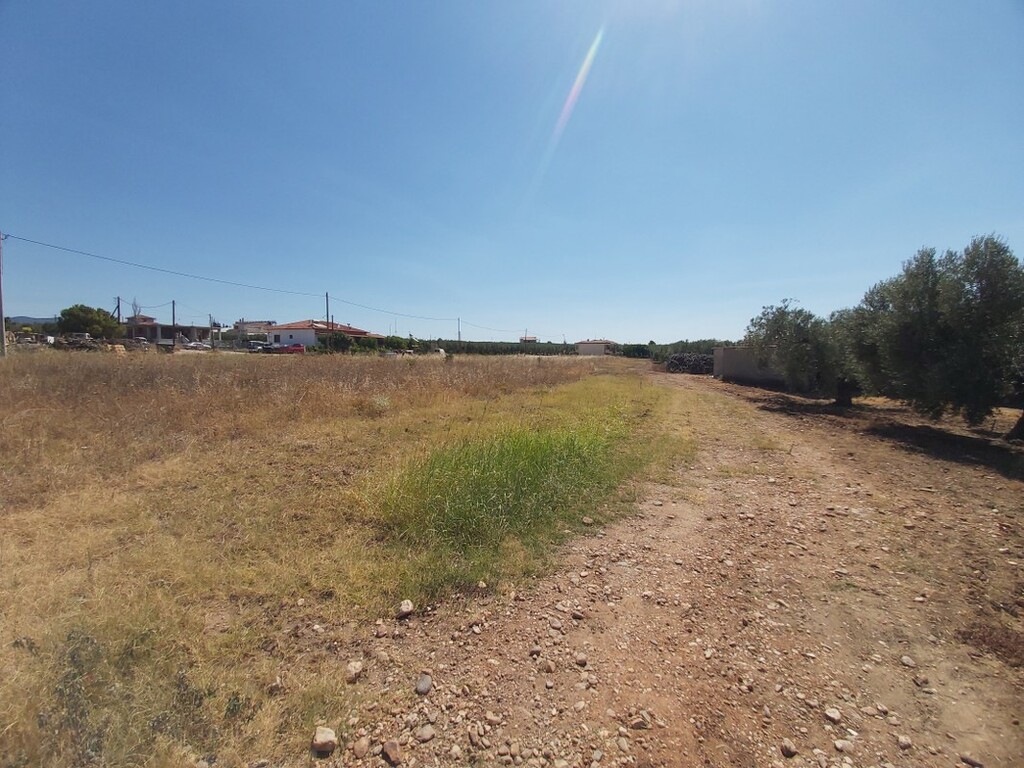 Grundstück in Sithonia, Griechenland, 12 300 m² - Foto 3