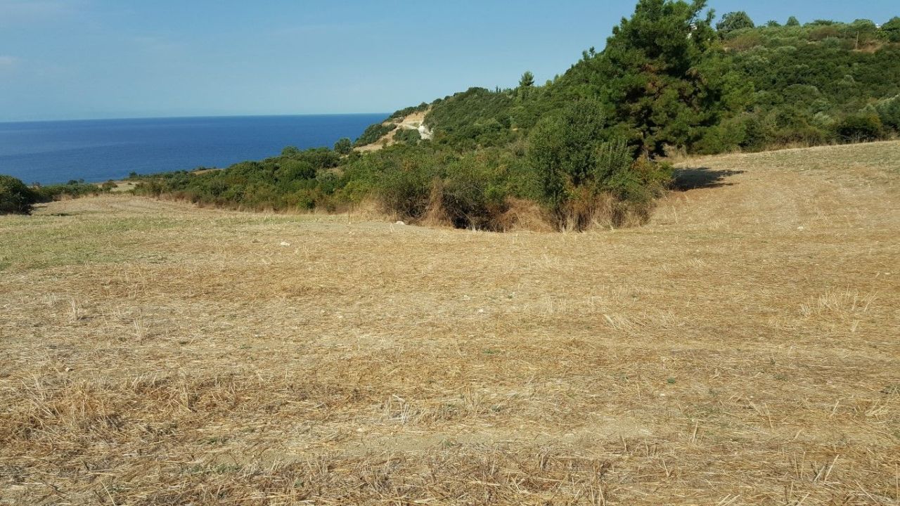 Grundstück in Chalkidiki, Griechenland, 7 000 m² - Foto 3