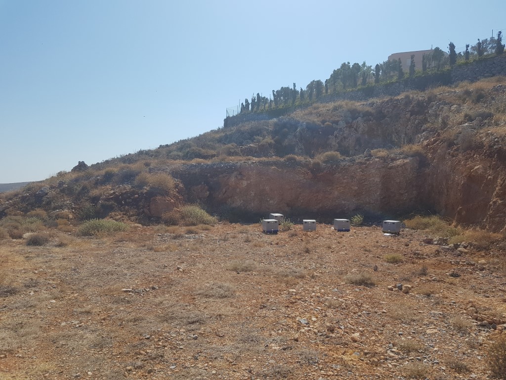 Terreno a Heraklion, Grecia, 4 000 m2 - foto 3