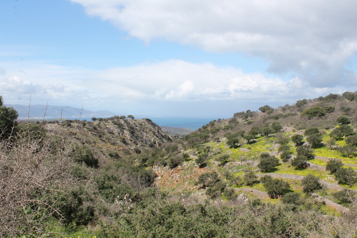 Terreno a Heraklion, Grecia, 10 800 m2 - foto 3