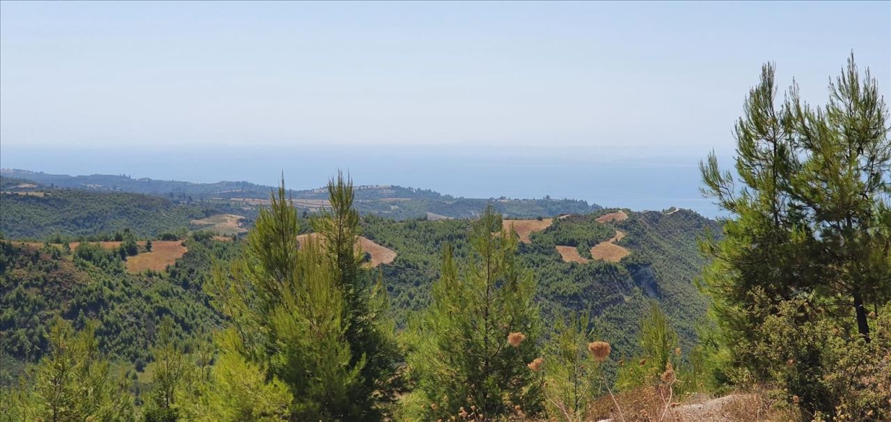 Grundstück in Kassandra, Griechenland, 15 000 m² - Foto 3