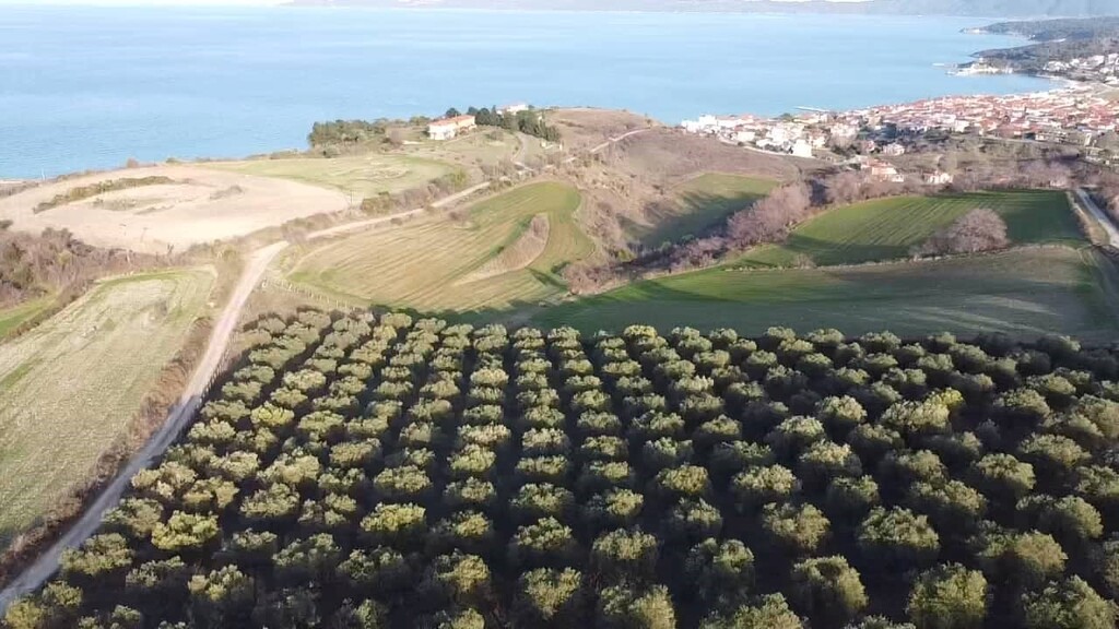 Terreno en Sitonia, Grecia, 5 625 m² - imagen 3