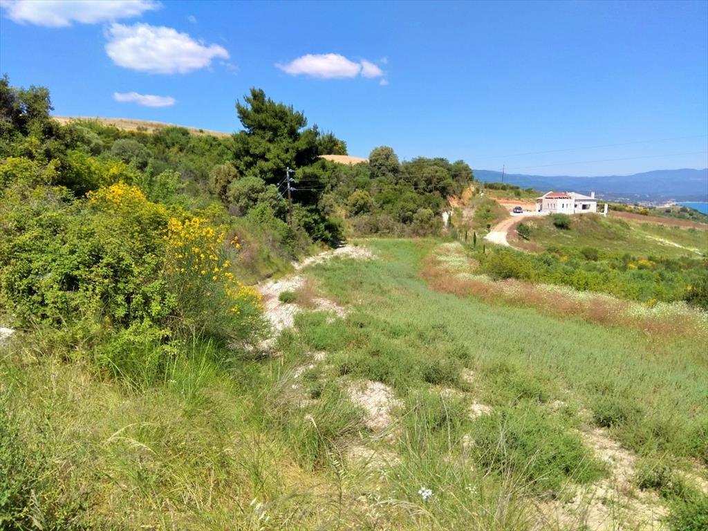 Terreno a Calcidica, Grecia, 11 000 m2 - foto 3