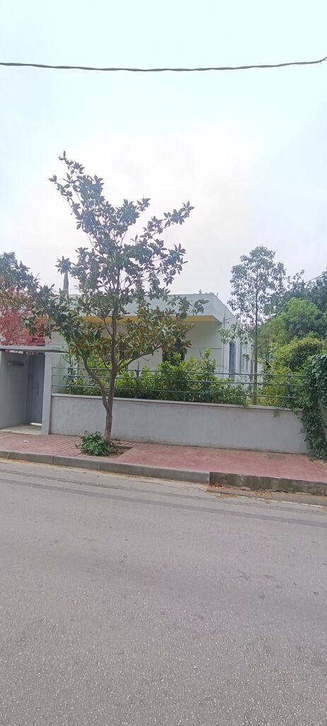 Land in Athens, Greece, 650 m² - picture 3