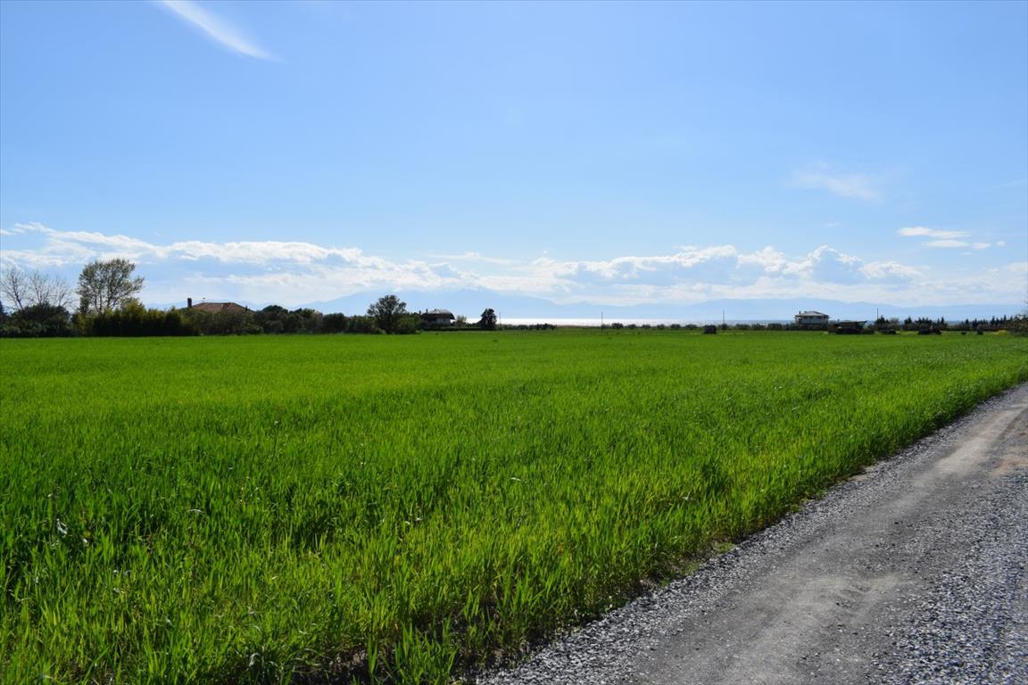 Land in Thessaloniki, Greece, 27 000 m² - picture 3