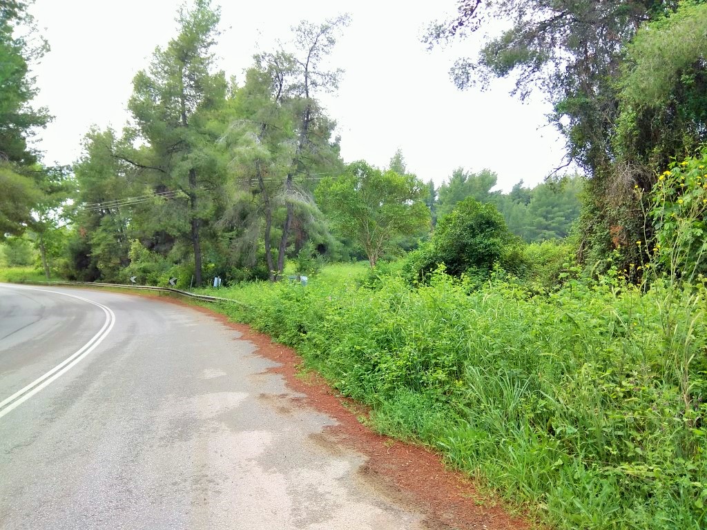 Grundstück in Kassandra, Griechenland, 28 000 m² - Foto 3