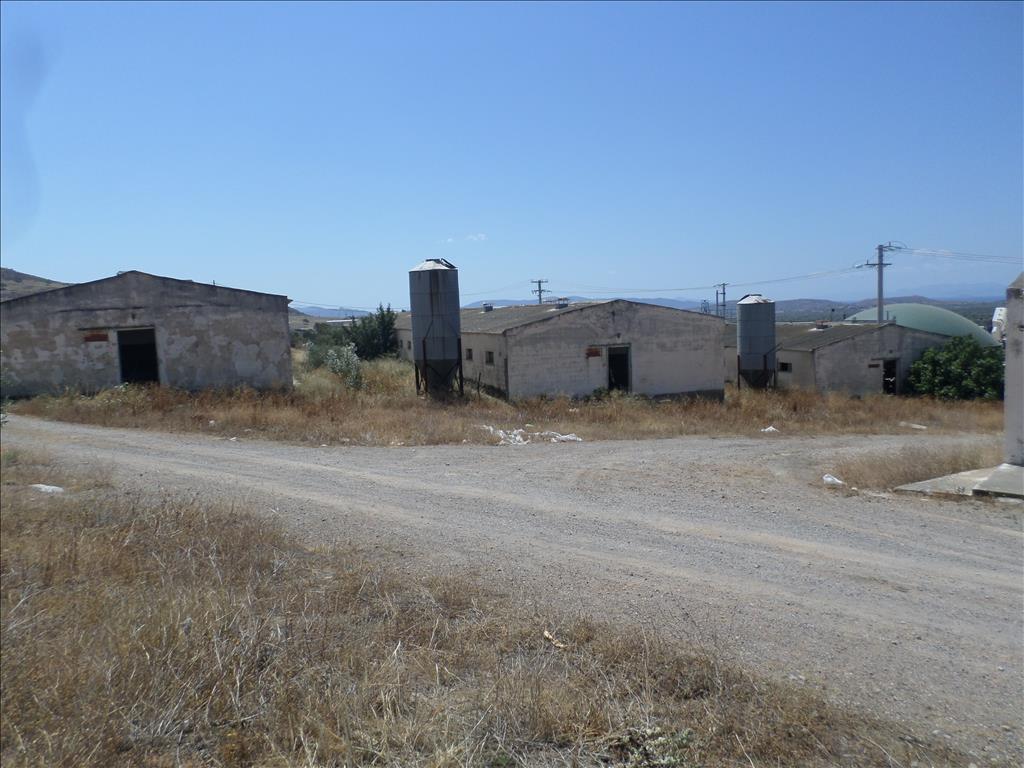 Terreno en Atenas, Grecia, 22 000 m² - imagen 3