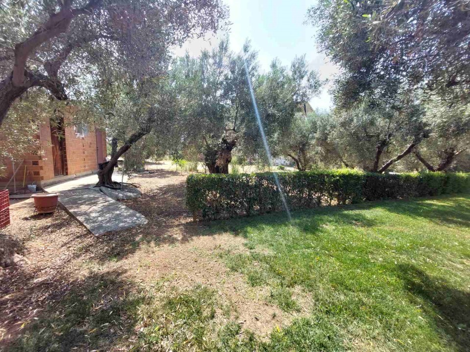 Land in Sithonia, Greece, 19 000 m² - picture 3